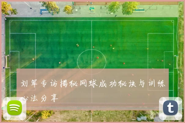 刘军专访揭秘网球成功秘诀与训练心法分享