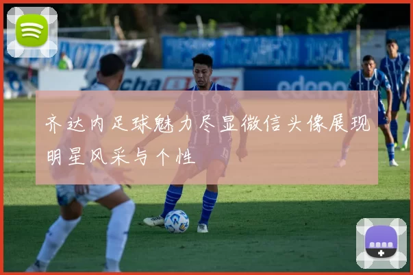 齐达内足球魅力尽显微信头像展现明星风采与个性