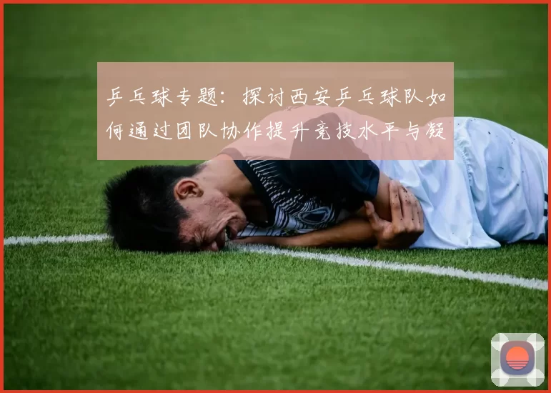 乒乓球专题：探讨西安乒乓球队如何通过团队协作提升竞技水平与凝聚力