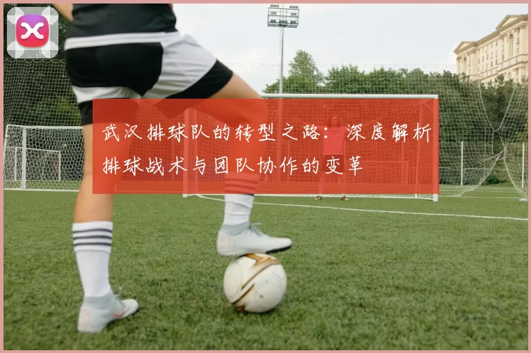 武汉排球队的转型之路：深度解析排球战术与团队协作的变革