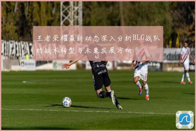 王者荣耀最新动态深入分析BLG战队的战术转型与未来发展方向