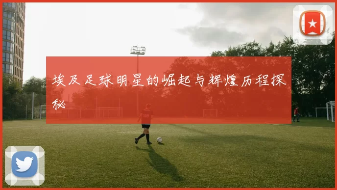 埃及足球明星的崛起与辉煌历程探秘