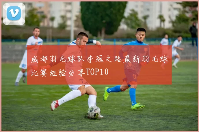 成都羽毛球队夺冠之路最新羽毛球比赛经验分享TOP10
