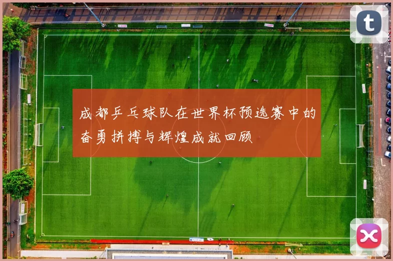 成都乒乓球队在世界杯预选赛中的奋勇拼搏与辉煌成就回顾