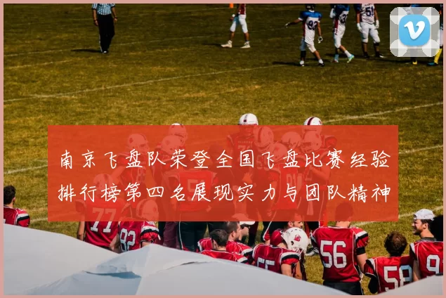 南京飞盘队荣登全国飞盘比赛经验排行榜第四名展现实力与团队精神