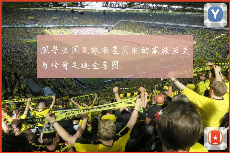 探寻法国足球明星贝利的家族历史与传奇足迹全景图