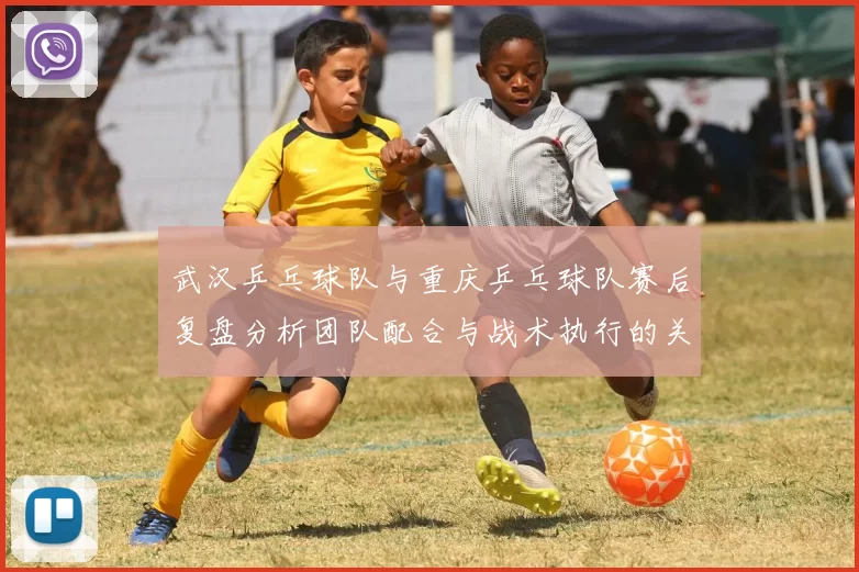 武汉乒乓球队与重庆乒乓球队赛后复盘分析团队配合与战术执行的关键要素