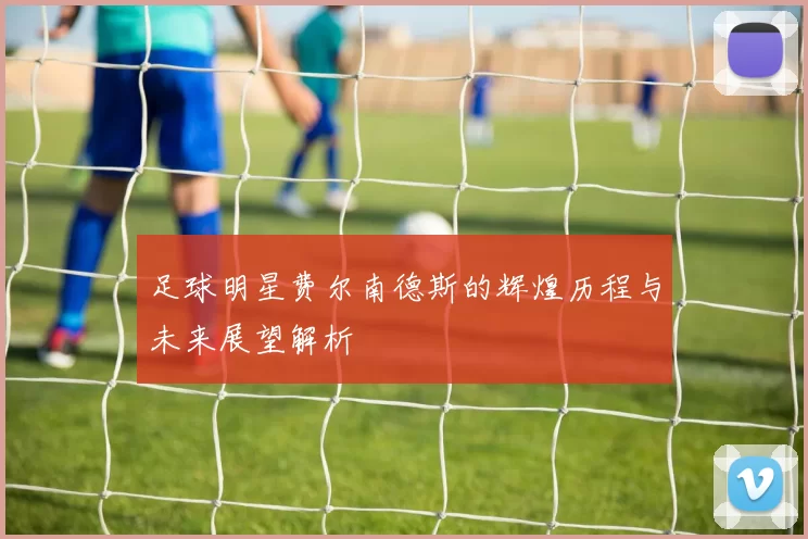 足球明星费尔南德斯的辉煌历程与未来展望解析