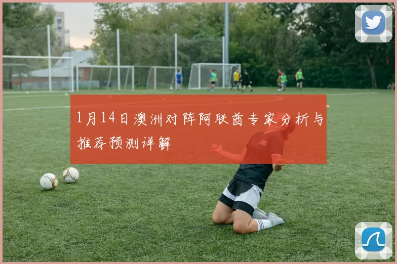 1月14日澳洲对阵阿联酋专家分析与推荐预测详解