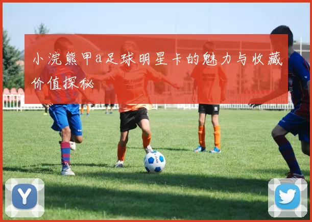 小浣熊甲a足球明星卡的魅力与收藏价值探秘