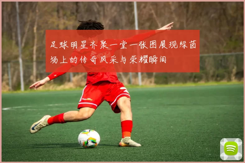 足球明星齐聚一堂一张图展现绿茵场上的传奇风采与荣耀瞬间