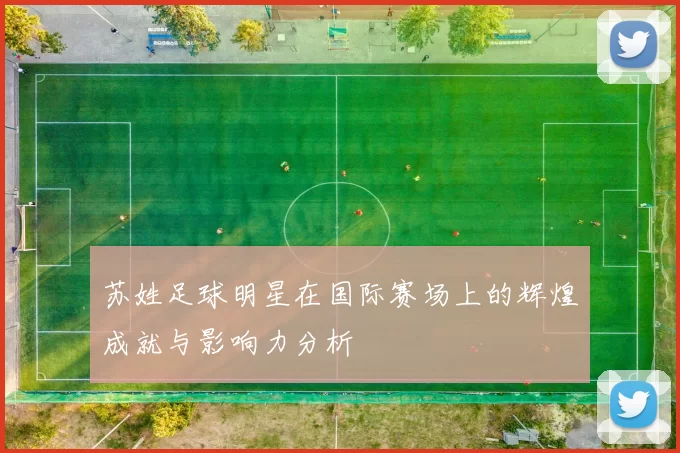 苏姓足球明星在国际赛场上的辉煌成就与影响力分析