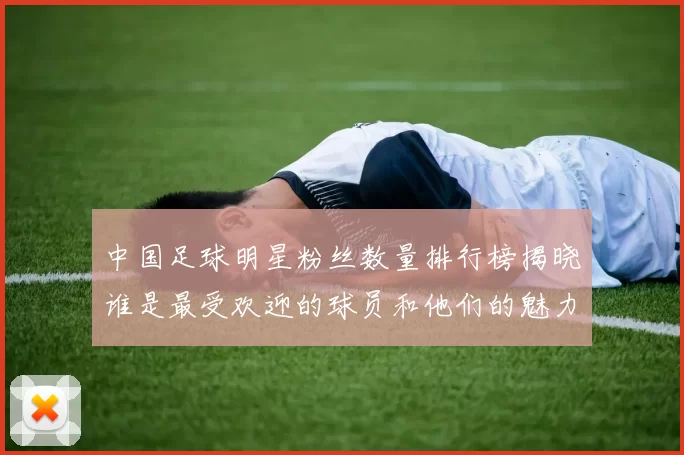 中国足球明星粉丝数量排行榜揭晓谁是最受欢迎的球员和他们的魅力所在