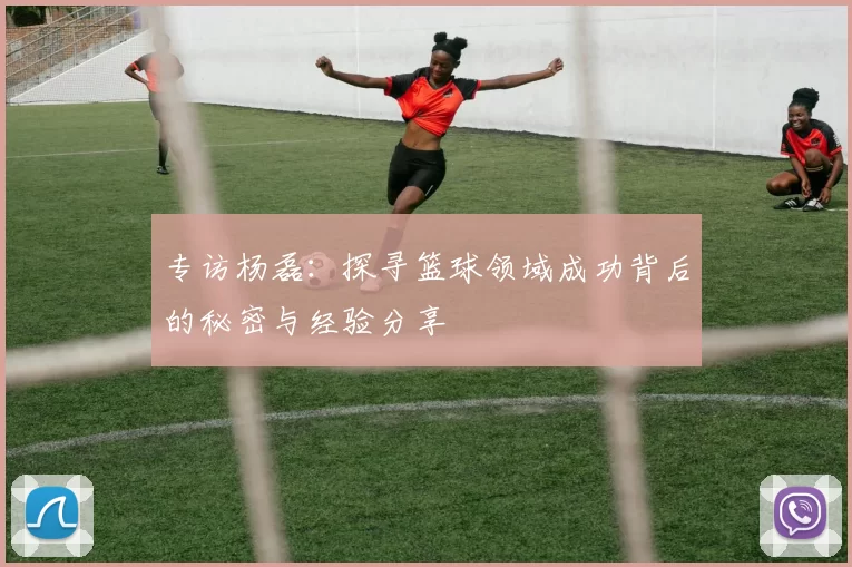 专访杨磊：探寻篮球领域成功背后的秘密与经验分享
