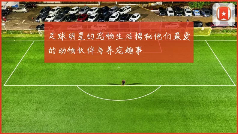 足球明星的宠物生活揭秘他们最爱的动物伙伴与养宠趣事