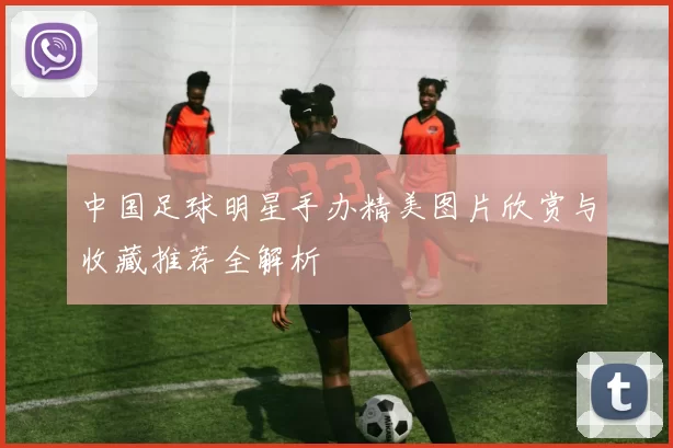 中国足球明星手办精美图片欣赏与收藏推荐全解析