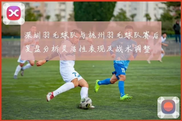 深圳羽毛球队与杭州羽毛球队赛后复盘分析灵活性表现及战术调整