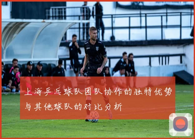 上海乒乓球队团队协作的独特优势与其他球队的对比分析
