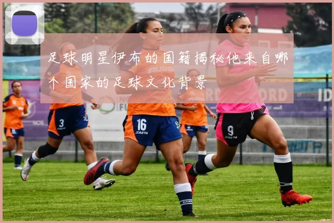 足球明星伊布的国籍揭秘他来自哪个国家的足球文化背景