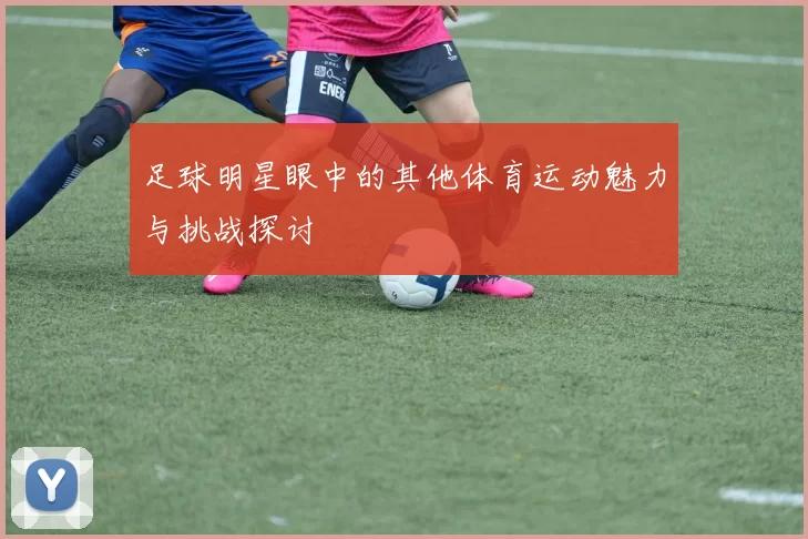 足球明星眼中的其他体育运动魅力与挑战探讨
