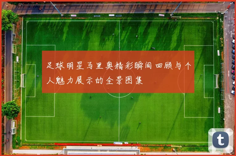 足球明星马里奥精彩瞬间回顾与个人魅力展示的全景图集