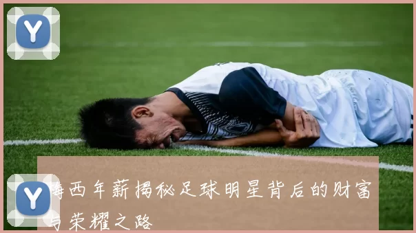 梅西年薪揭秘足球明星背后的财富与荣耀之路