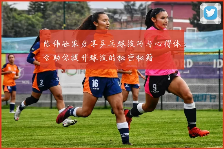 陈伟独家分享乒乓球技巧与心得体会助你提升球技的秘密秘籍