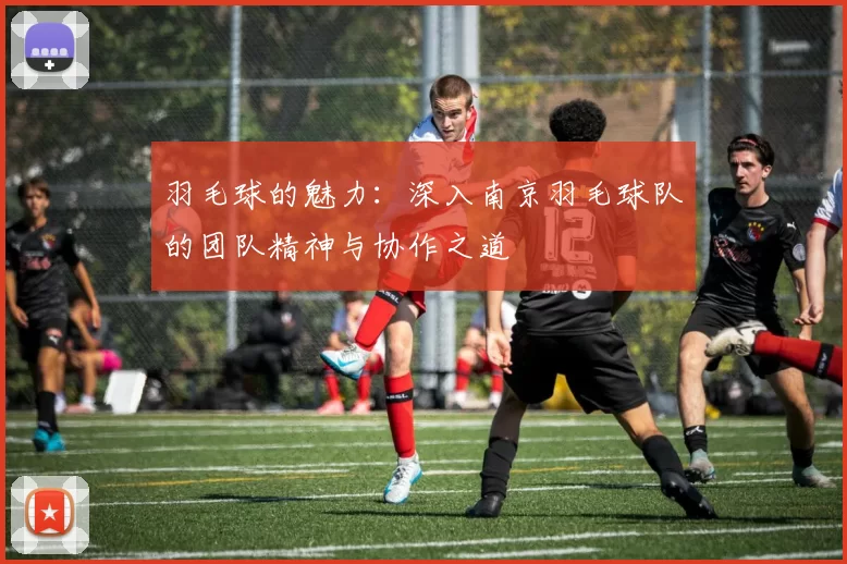 羽毛球的魅力：深入南京羽毛球队的团队精神与协作之道