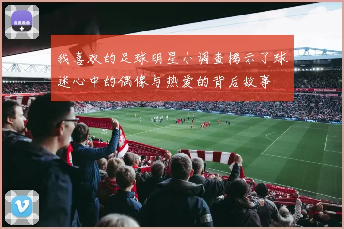 我喜欢的足球明星小调查揭示了球迷心中的偶像与热爱的背后故事