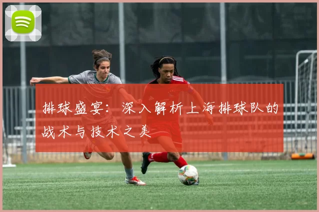 排球盛宴：深入解析上海排球队的战术与技术之美